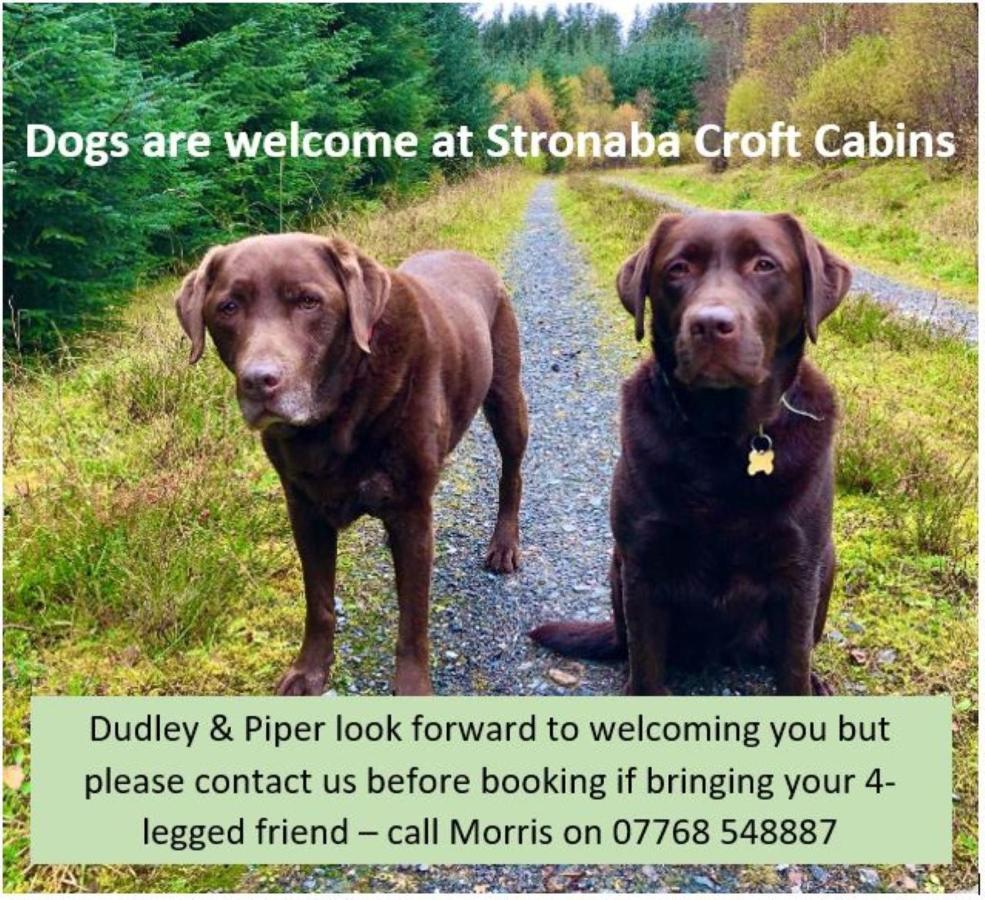 Stronaba Croft Cabins Spean Bridge Luaran gambar